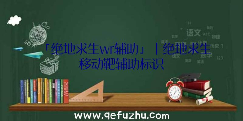 「绝地求生wr辅助」|绝地求生移动靶辅助标识